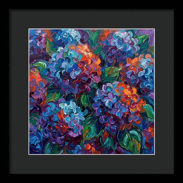 Hydrangea Blooms In Color