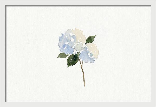 Hydrangea Blossom Elegance
