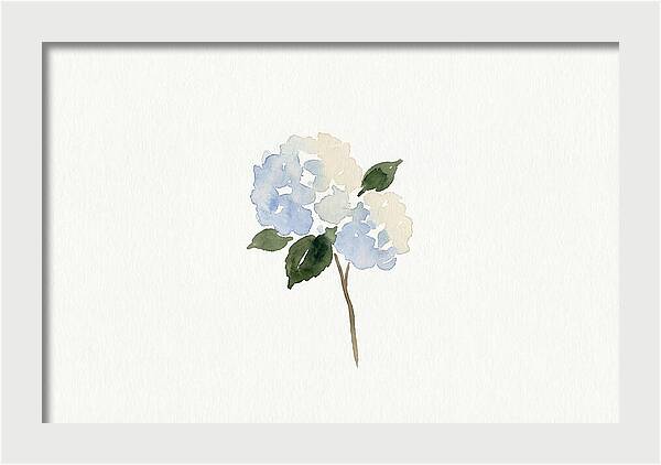 Hydrangea Blossom Elegance