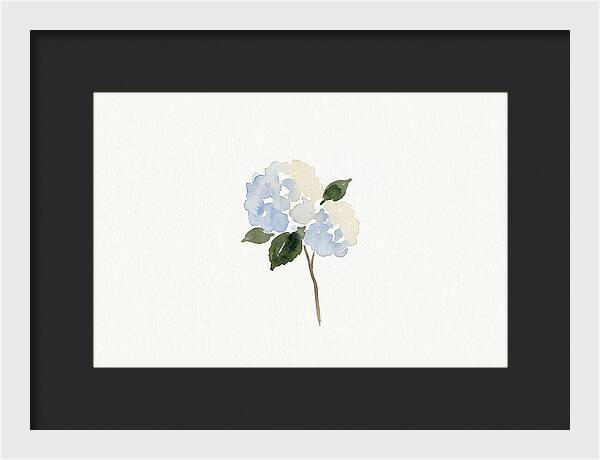 Hydrangea Blossom Elegance