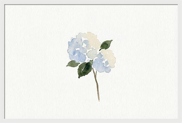 Hydrangea Blossom Elegance