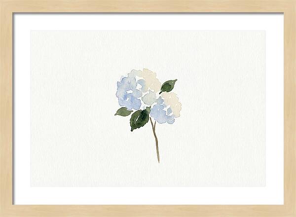 Hydrangea Blossom Elegance