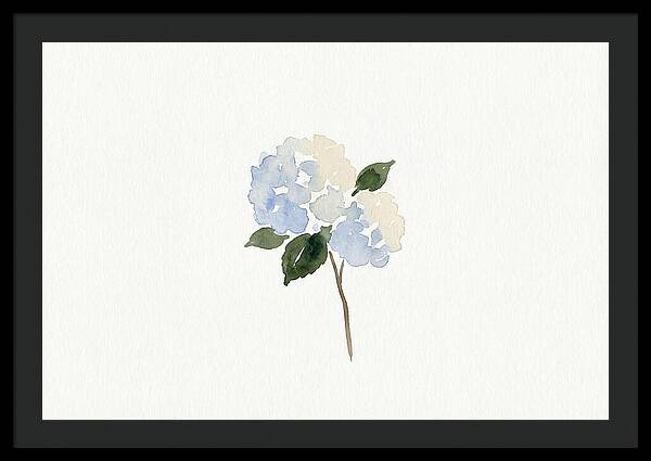 Hydrangea Blossom Elegance