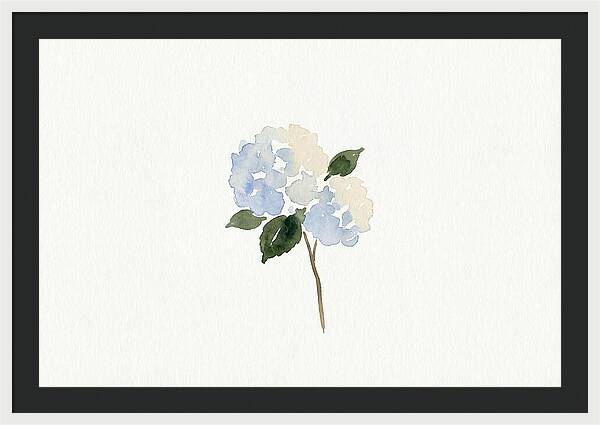 Hydrangea Blossom Elegance