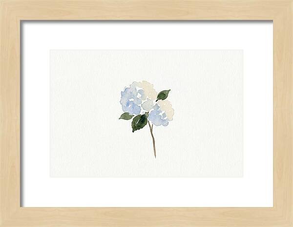 Hydrangea Blossom Elegance