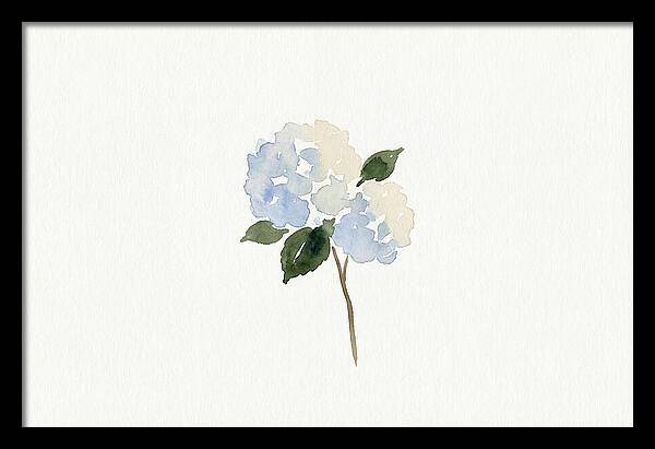 Hydrangea Blossom Elegance