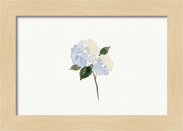 Hydrangea Blossom Elegance