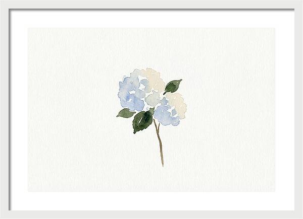 Hydrangea Blossom Elegance