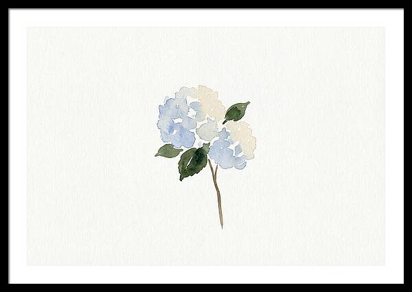 Hydrangea Blossom Elegance