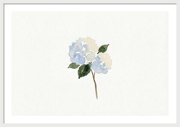 Hydrangea Blossom Elegance
