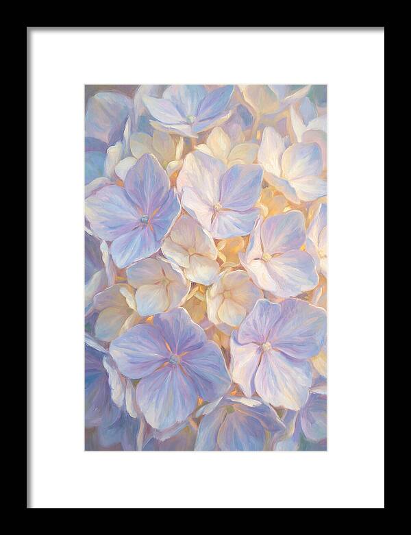 Hydrangea Blossoms