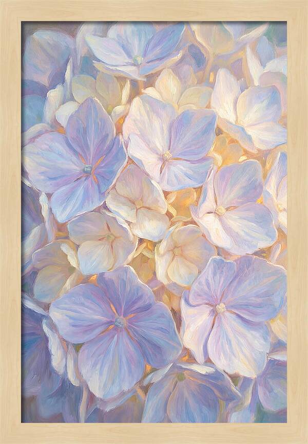 Hydrangea Blossoms