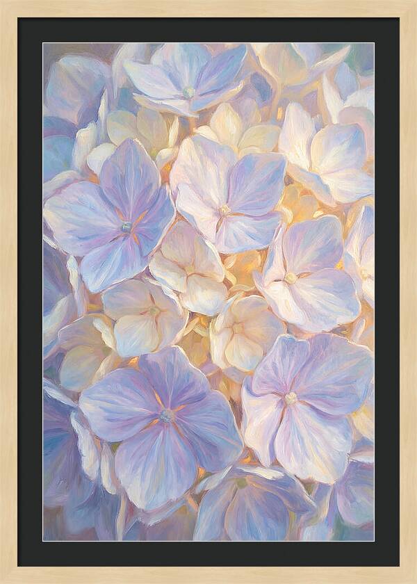 Hydrangea Blossoms