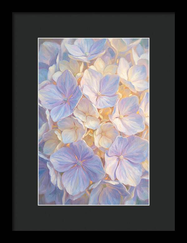 Hydrangea Blossoms
