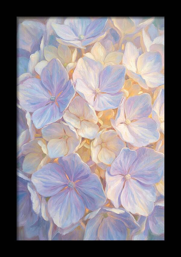 Hydrangea Blossoms