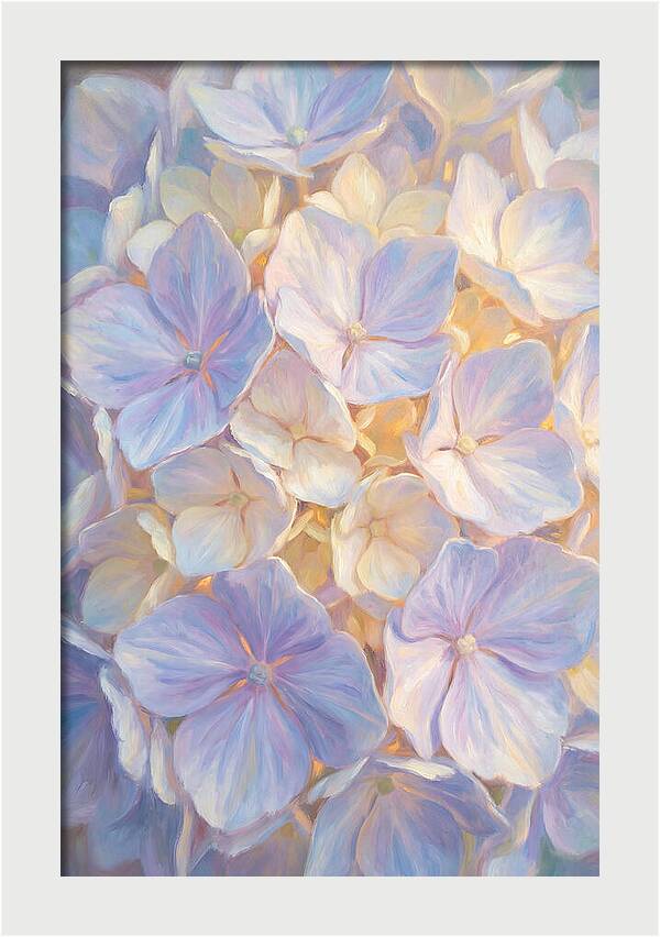 Hydrangea Blossoms