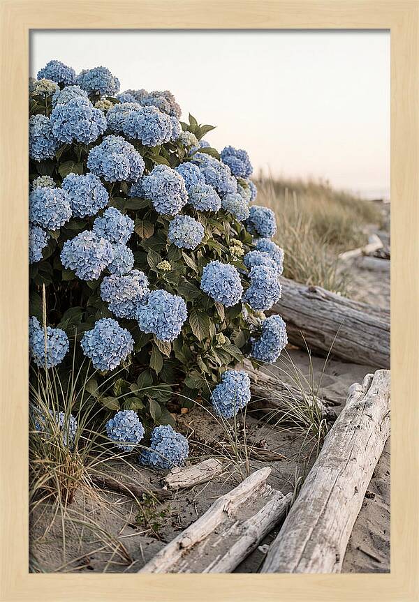 Hydrangea Bush By The Shore