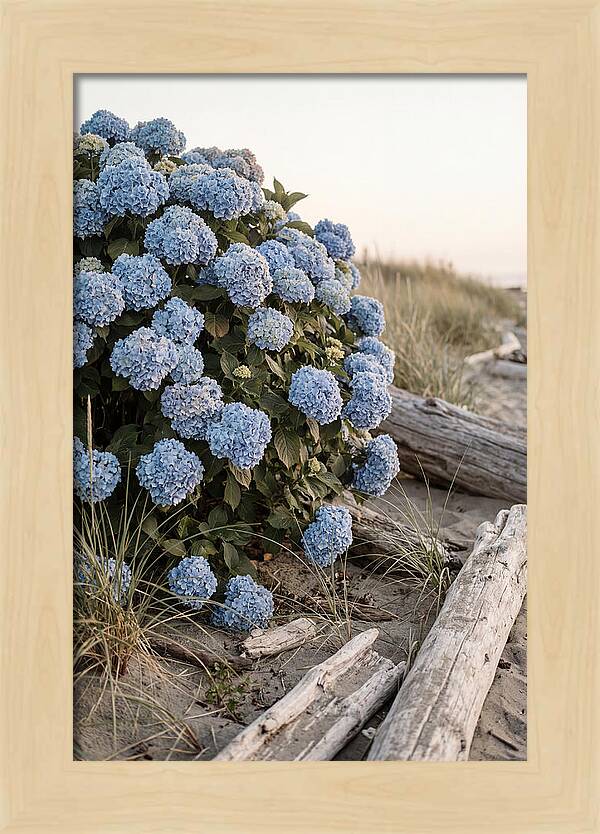 Hydrangea Bush By The Shore