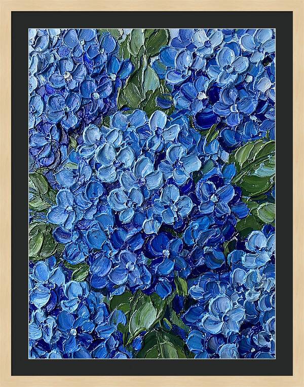 Hydrangea Dreams In Blue