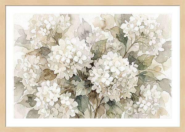 Hydrangea Serenity In White