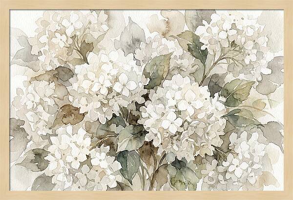 Hydrangea Serenity In White