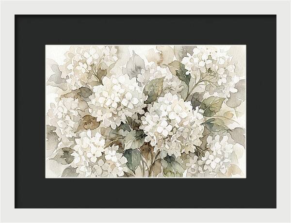 Hydrangea Serenity In White
