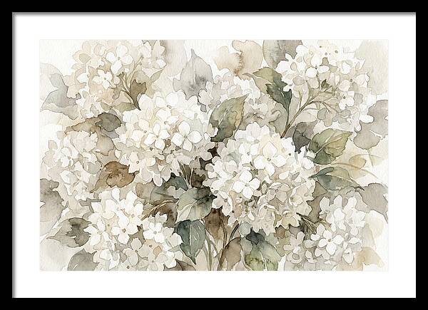 Hydrangea Serenity In White