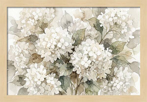 Hydrangea Serenity In White
