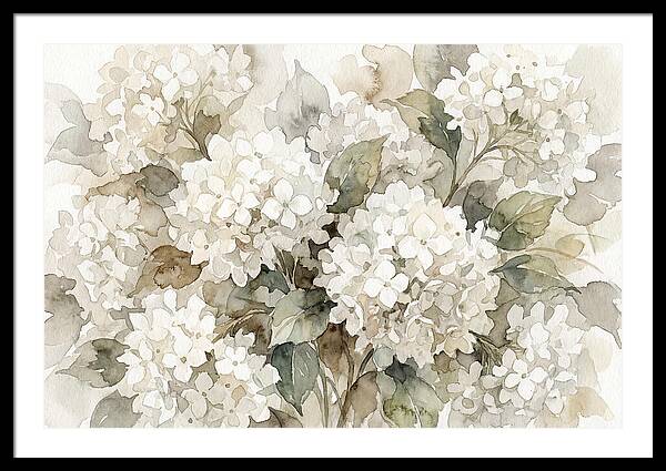Hydrangea Serenity In White
