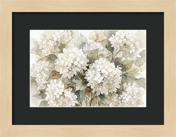 Hydrangea Serenity In White