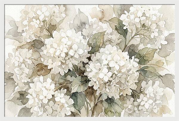 Hydrangea Serenity In White
