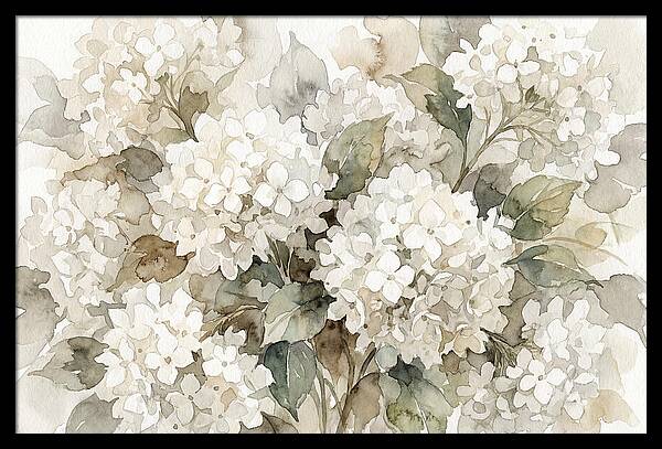 Hydrangea Serenity In White