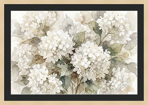 Hydrangea Serenity In White