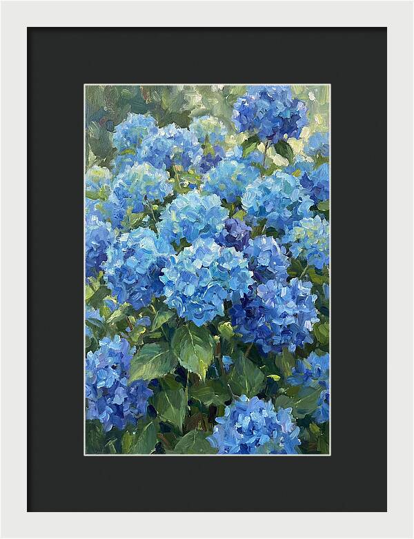 Hydrangeas In Vibrant Blue