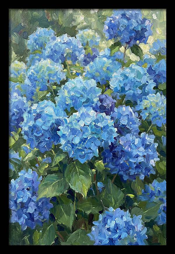 Hydrangeas In Vibrant Blue