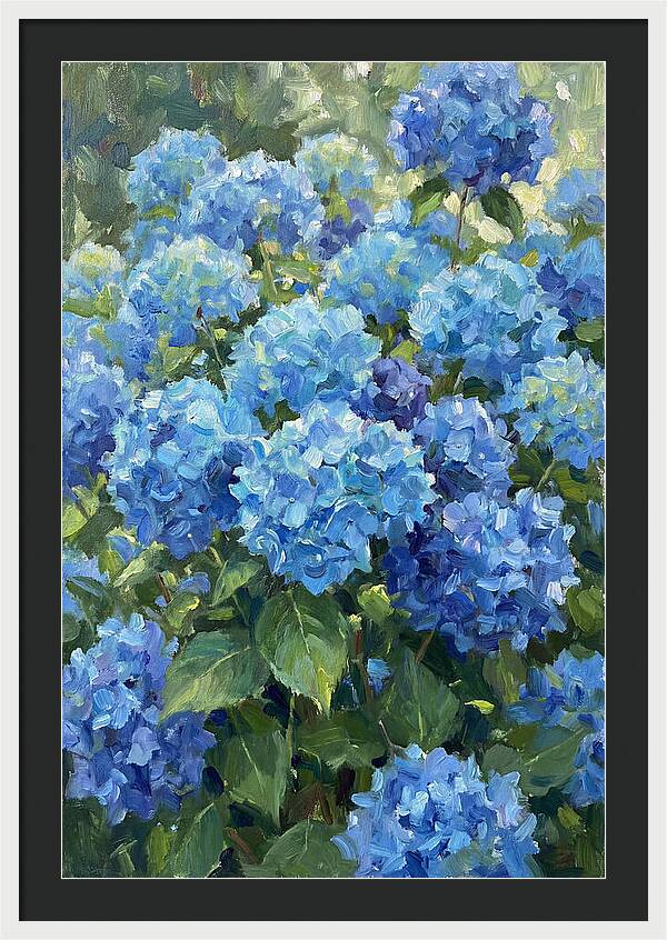 Hydrangeas In Vibrant Blue