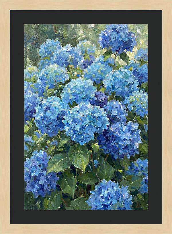 Hydrangeas In Vibrant Blue