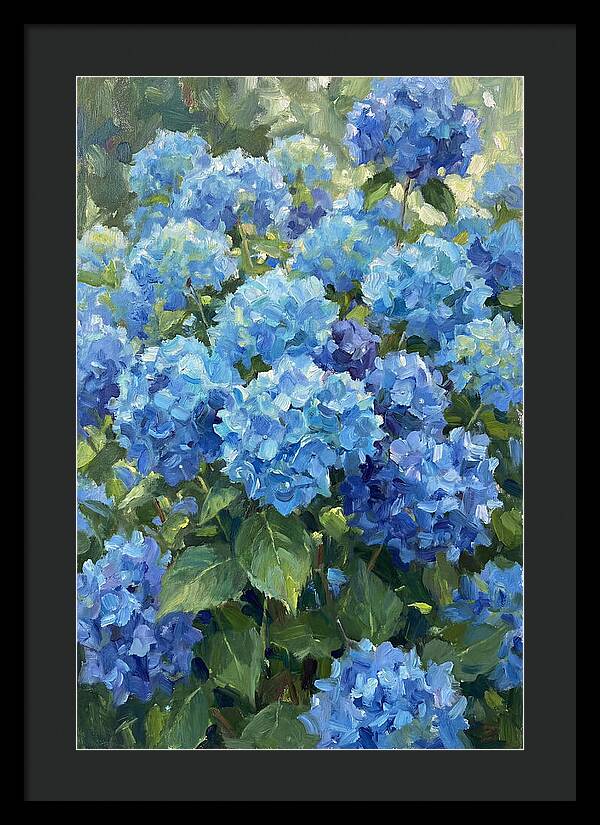 Hydrangeas In Vibrant Blue