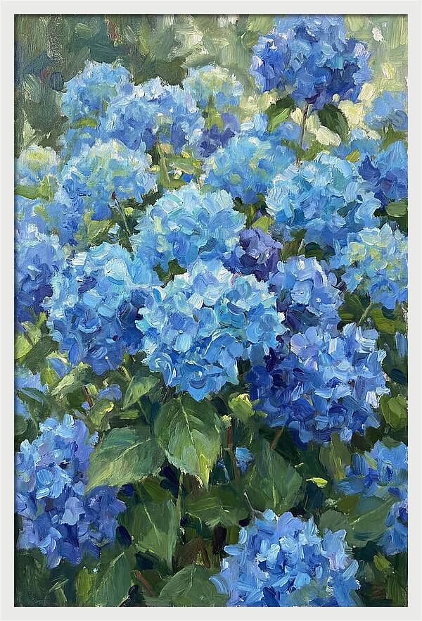 Hydrangeas In Vibrant Blue