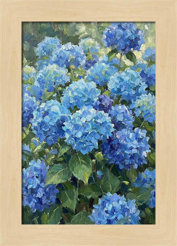 Hydrangeas In Vibrant Blue