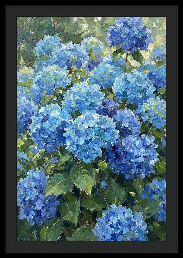 Hydrangeas In Vibrant Blue