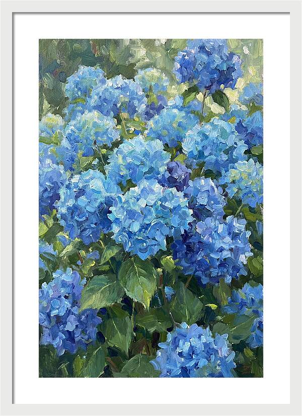 Hydrangeas In Vibrant Blue
