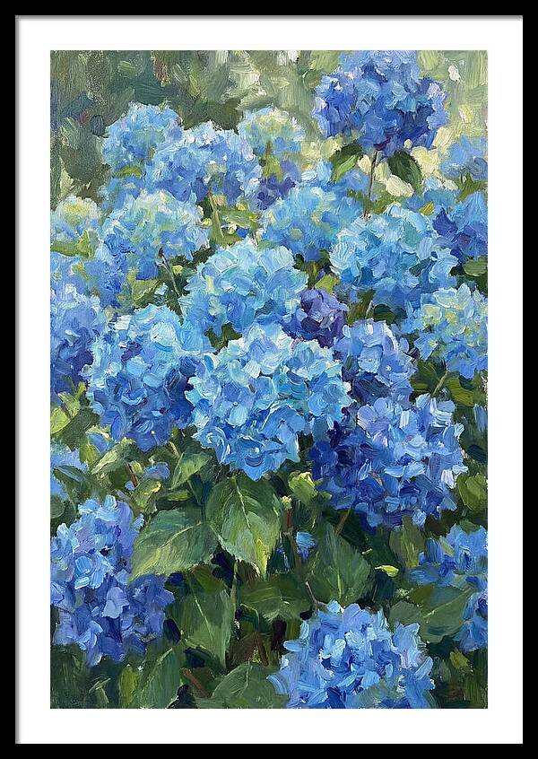 Hydrangeas In Vibrant Blue