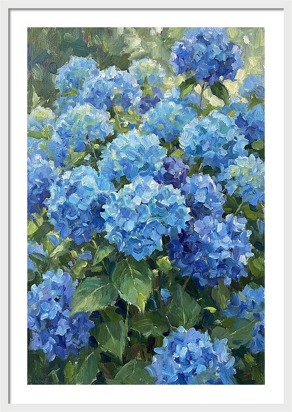 Hydrangeas In Vibrant Blue
