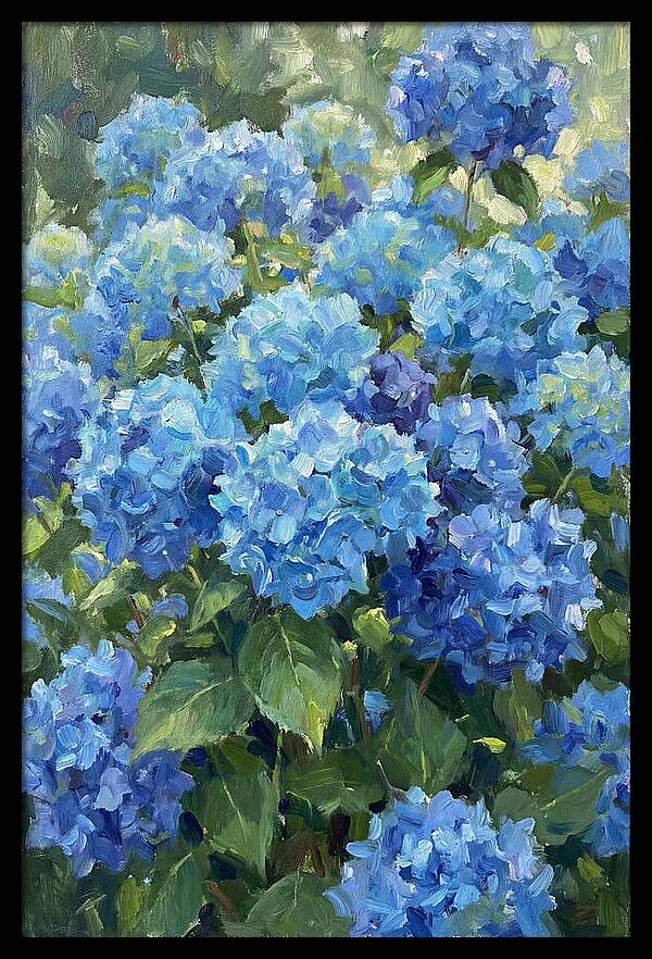 Hydrangeas In Vibrant Blue