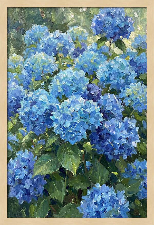 Hydrangeas In Vibrant Blue