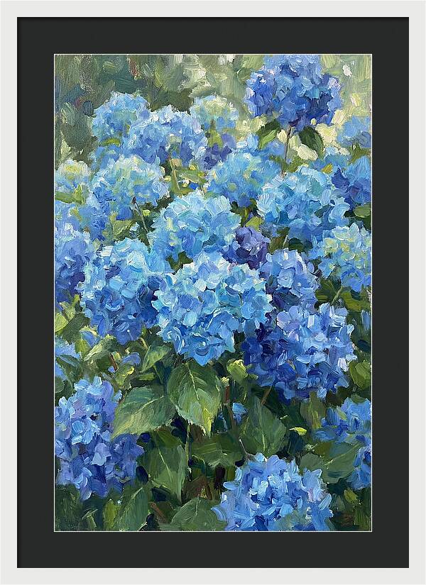 Hydrangeas In Vibrant Blue