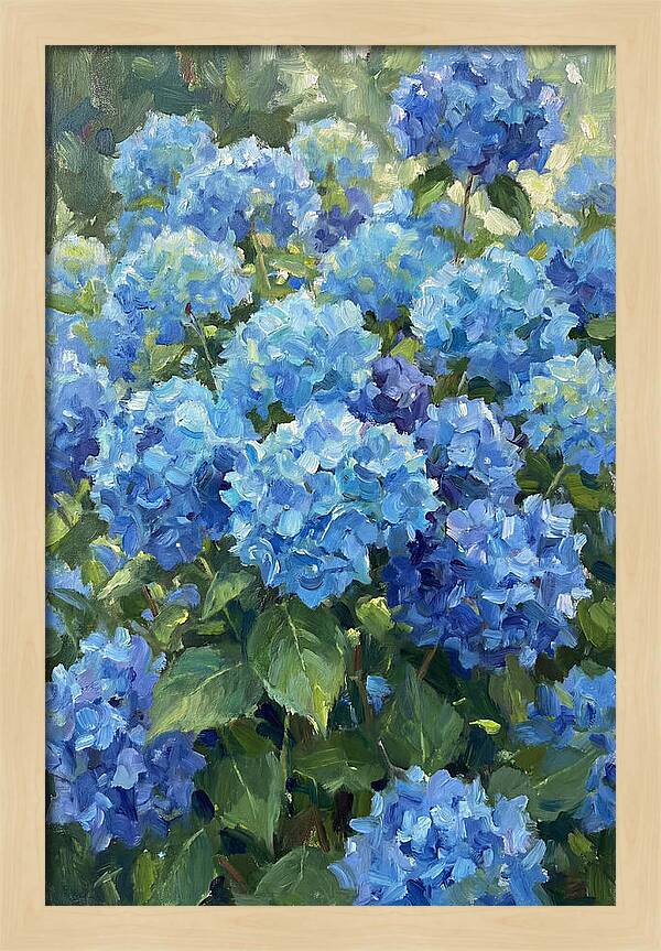 Hydrangeas In Vibrant Blue