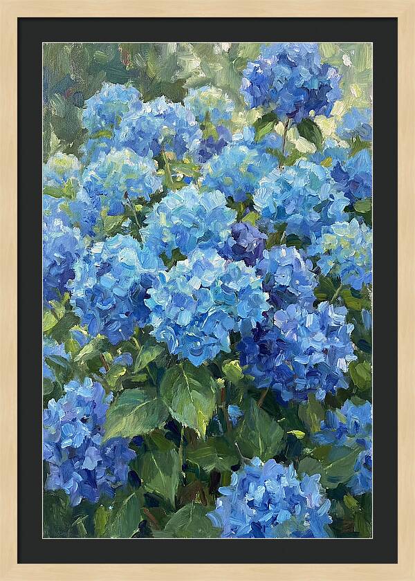Hydrangeas In Vibrant Blue