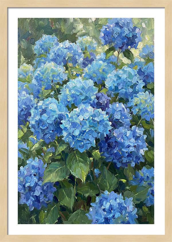 Hydrangeas In Vibrant Blue